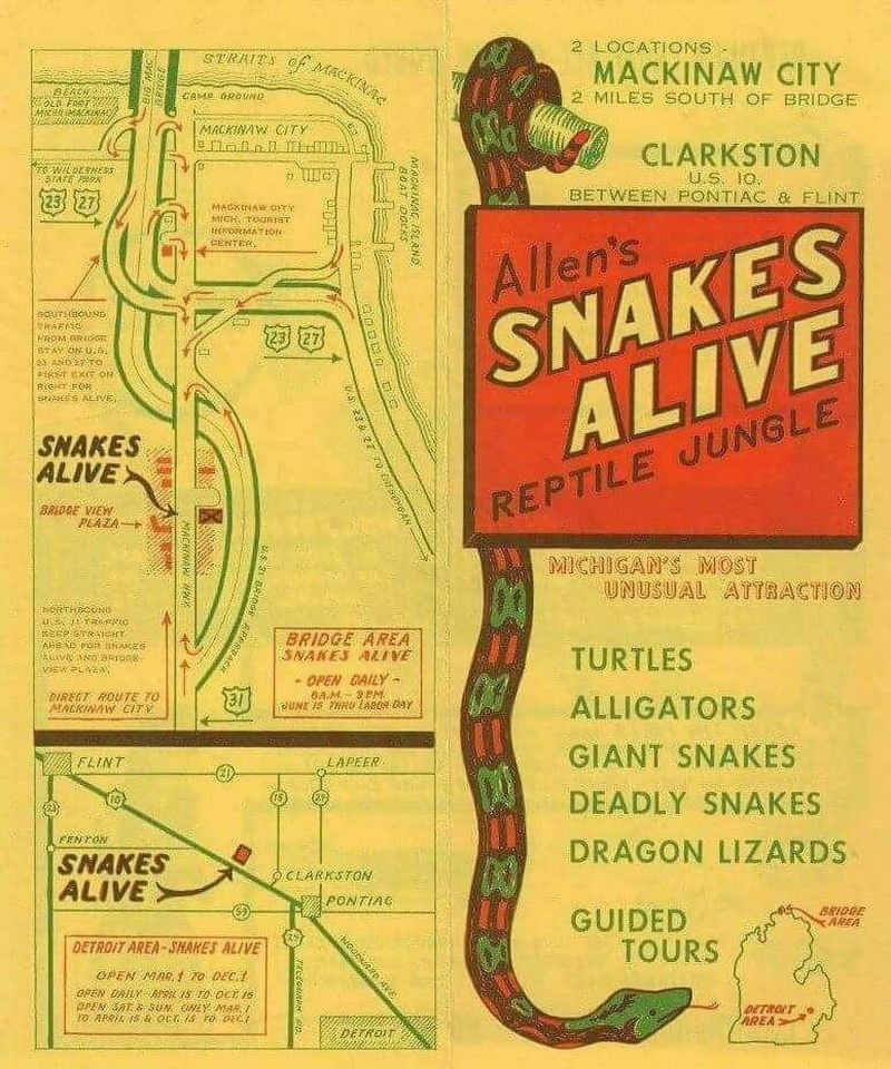 Snakes Alive - Old Flyer